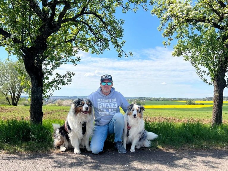 Person sitzt zwischen zwei Hunden unter Bäumen auf einem gepflasterten Weg.