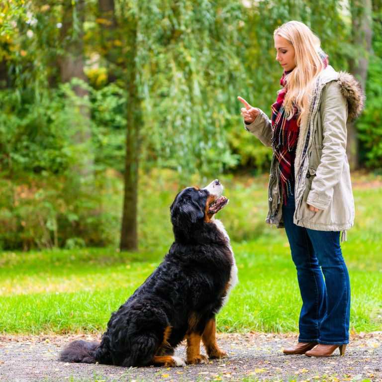 Frau mit einem Hund, der auf einem Baumstamm balanciert, in einer grünen Umgebung.