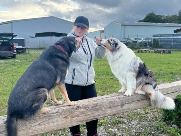 Eine Person steht draußen und füttert zwei Hunde auf einem Baumstamm.