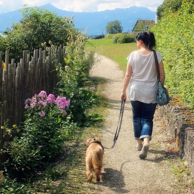 Intensivtraining Leinenführigkeit Christiana Gramlich Walldürn Frau geht mit einem Hund auf einem Weg zwischen Blumen und Bäumen.