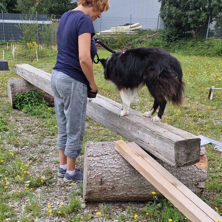 Frau mit einem Hund, der auf einem Baumstamm balanciert, in einer grünen Umgebung.