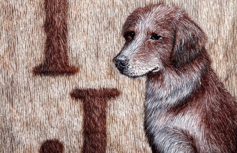 Brauner Hund mit aufmerksamen Augen vor einem schlichten Hintergrund.