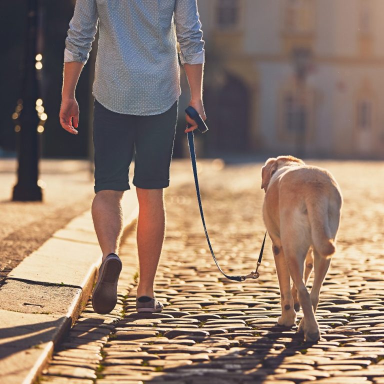 Mann mit Hund an der Leine geht auf einem cobblestone Weg.